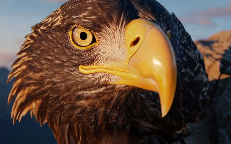 A close-up of an eagle's head with a piercing gaze